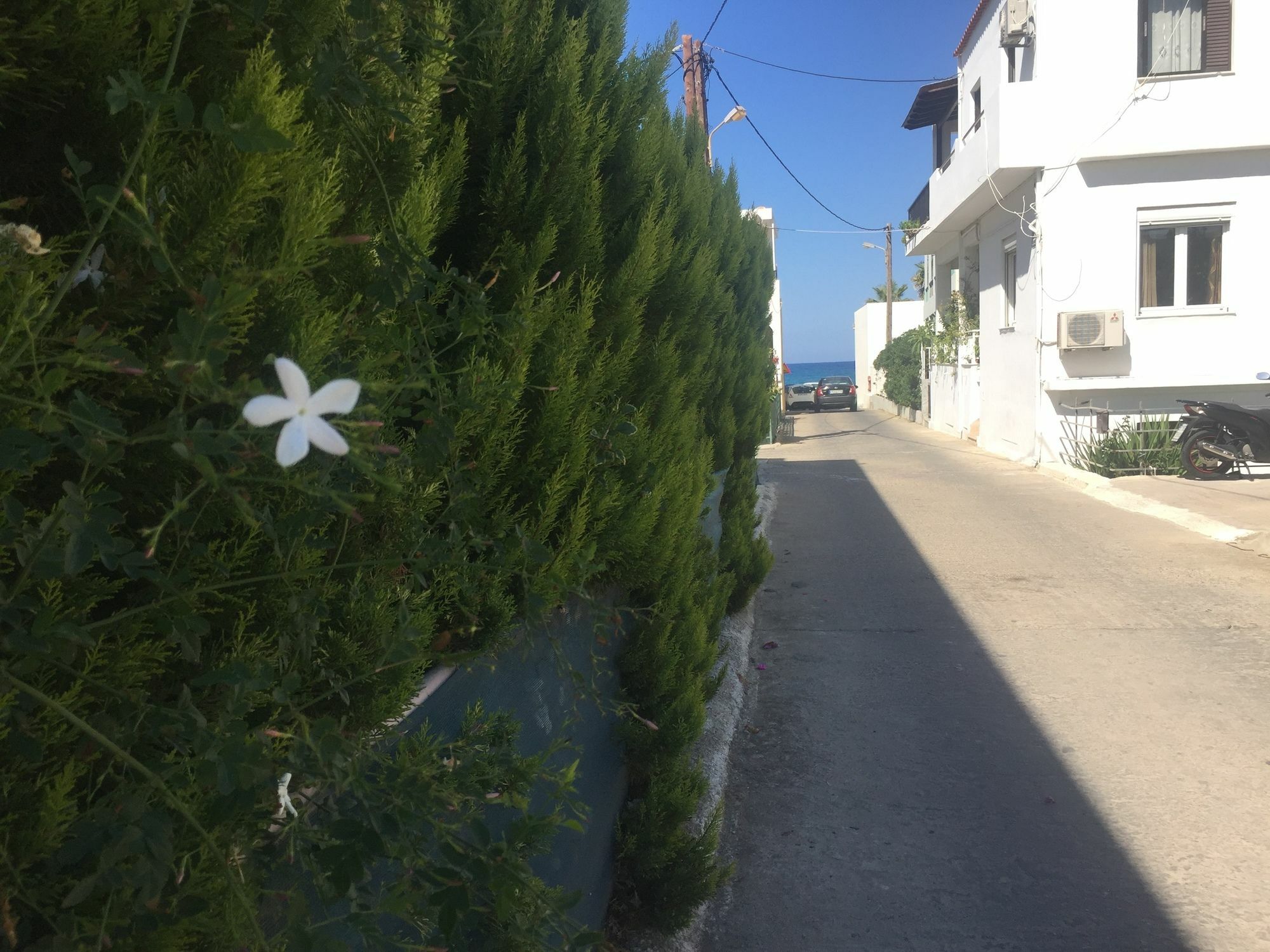 Zannis Hotel Rethymno Esterno foto